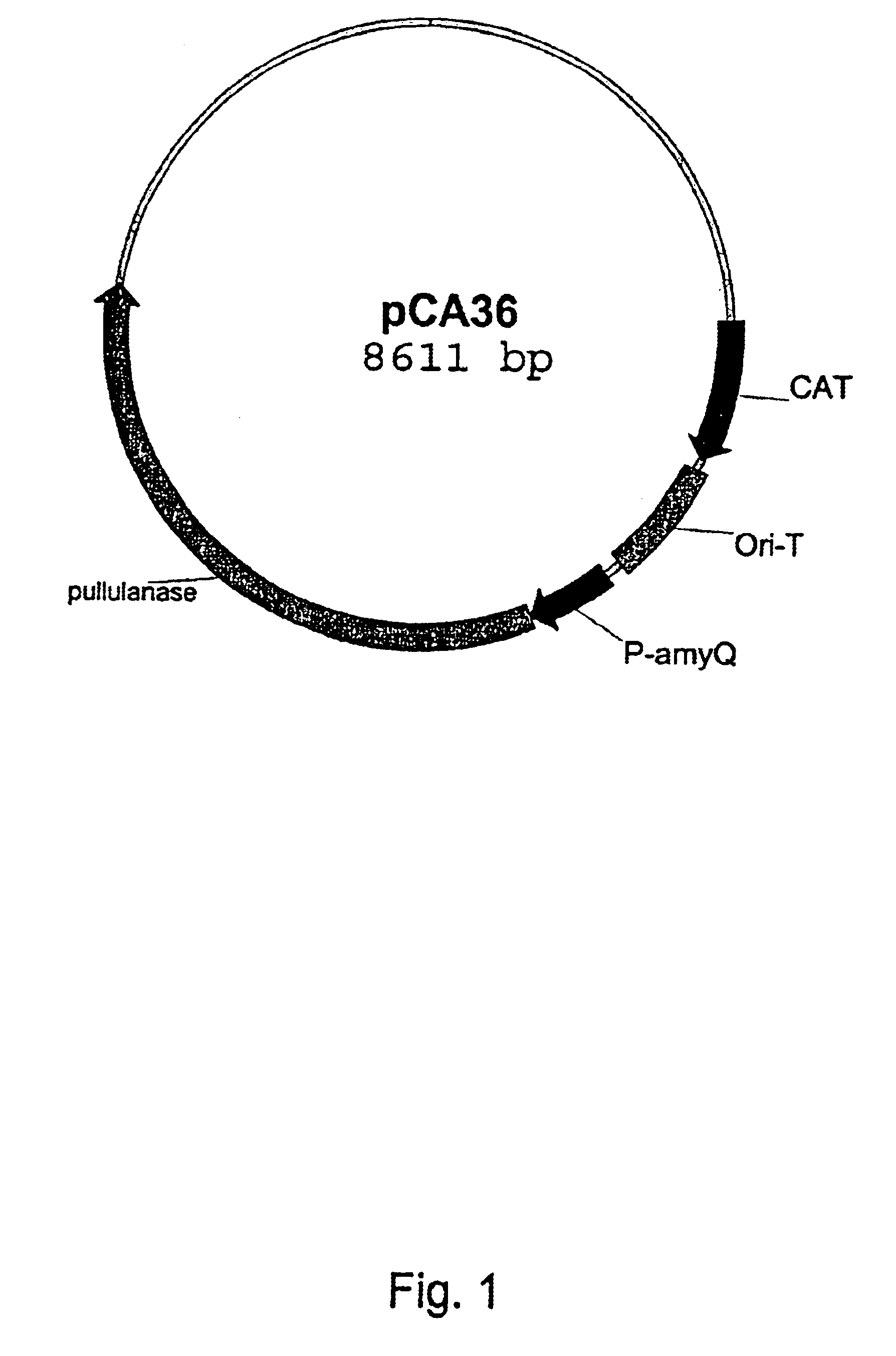 Pullulanase variants and methods for preparing such variants with predetermined properties