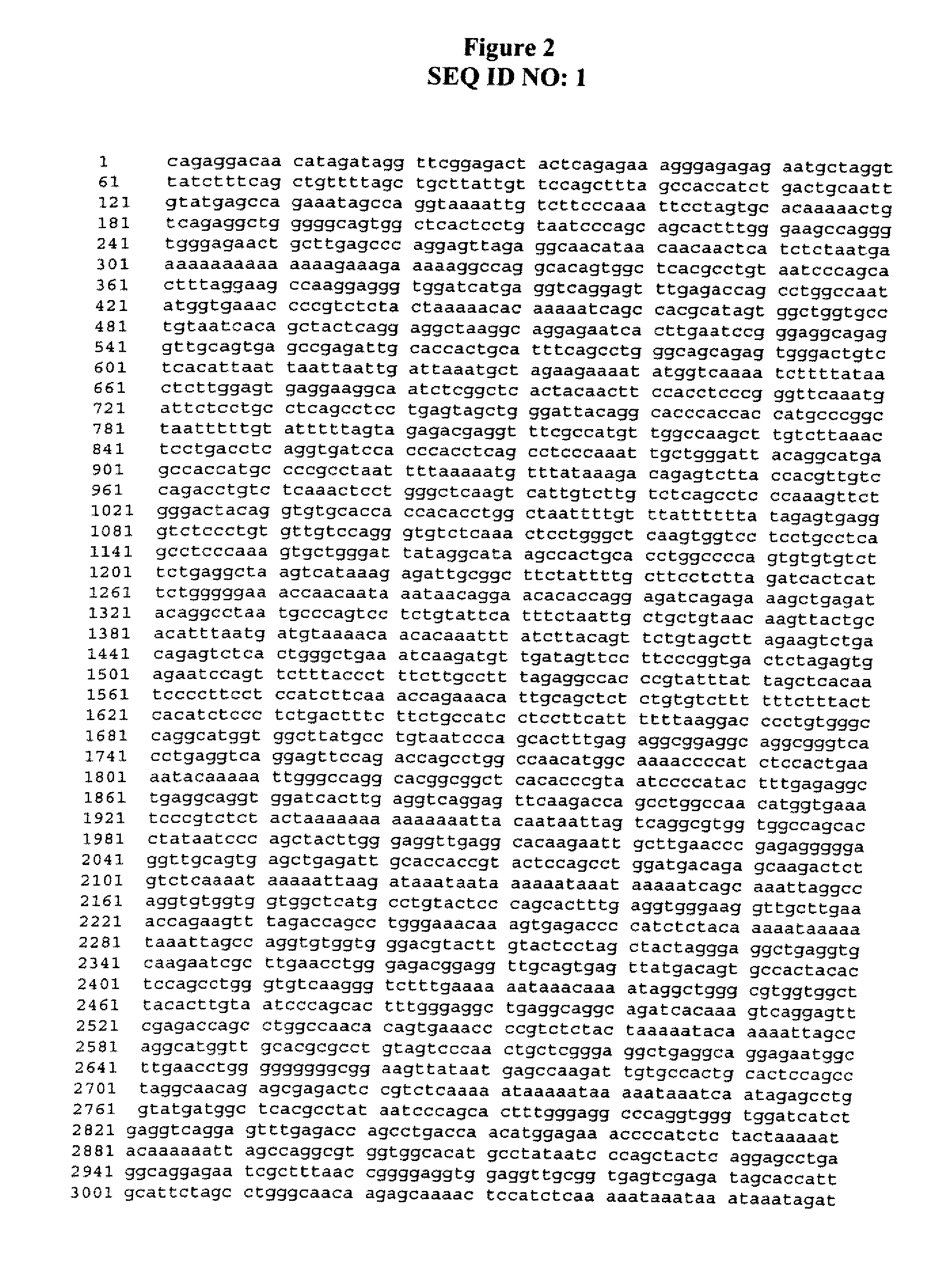 Methods and compositions for predicting drug responses