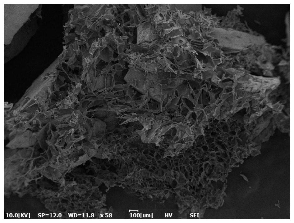 A kind of bone tissue repair material and preparation method and application thereof