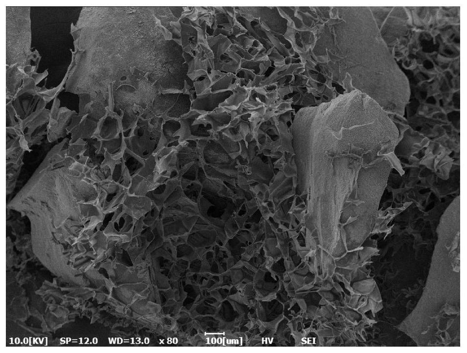 A kind of bone tissue repair material and preparation method and application thereof