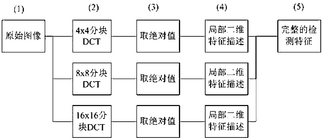 Mosaic image detection method and system based on local two-dimensional characteristics