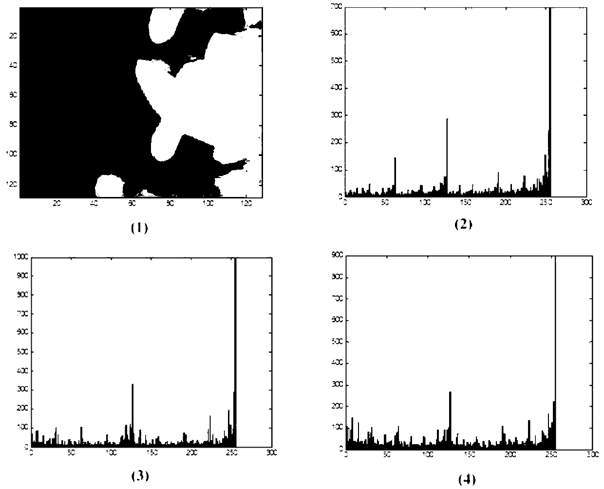 Mosaic image detection method and system based on local two-dimensional characteristics