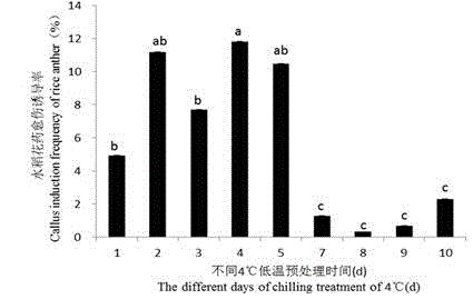 Cultivation method of rice germplasm with high-resistant starch and low-amylose starch