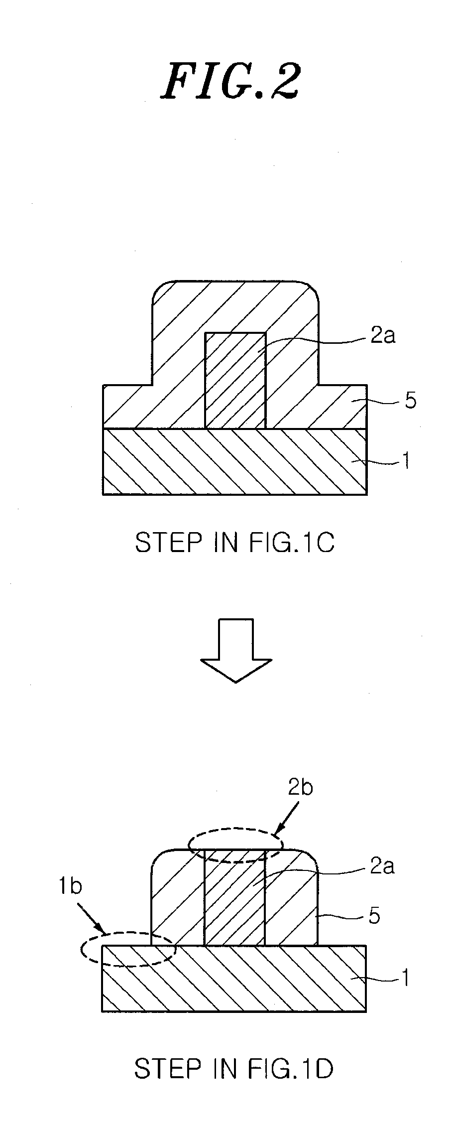 Etching method and apparatus