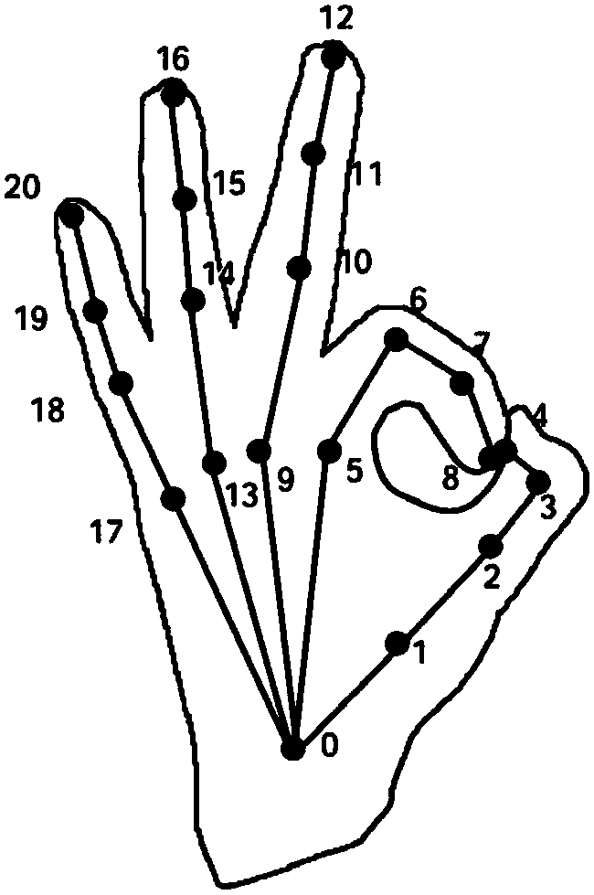 Dangerous driving behavior recognition method based on bone characteristics