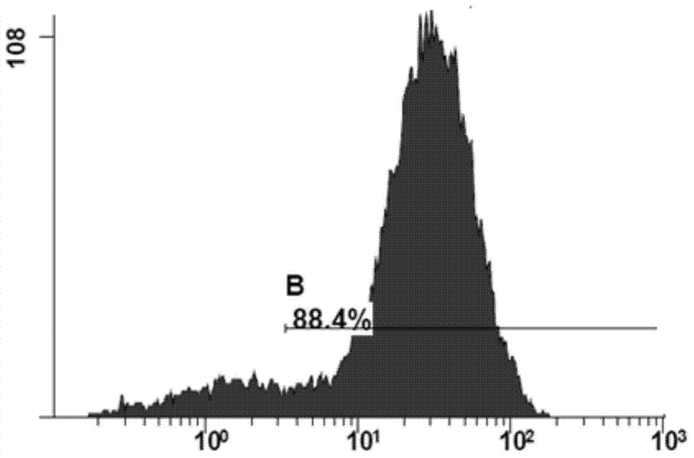 Anti-human Fc epsilon RI alpha subunit monoclonal antibody and application thereof