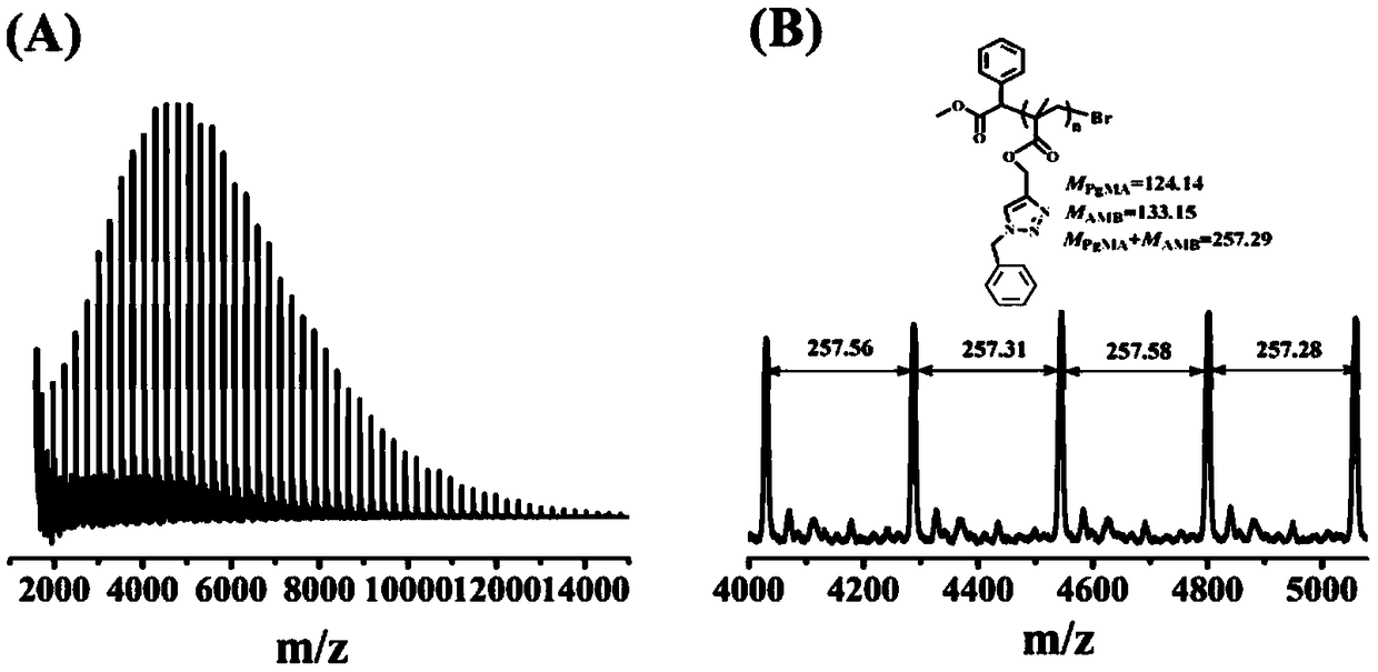 An open "click-radical" one-pot approach using copper thioxanthone carboxylate as photocatalyst and oxygen scavenger