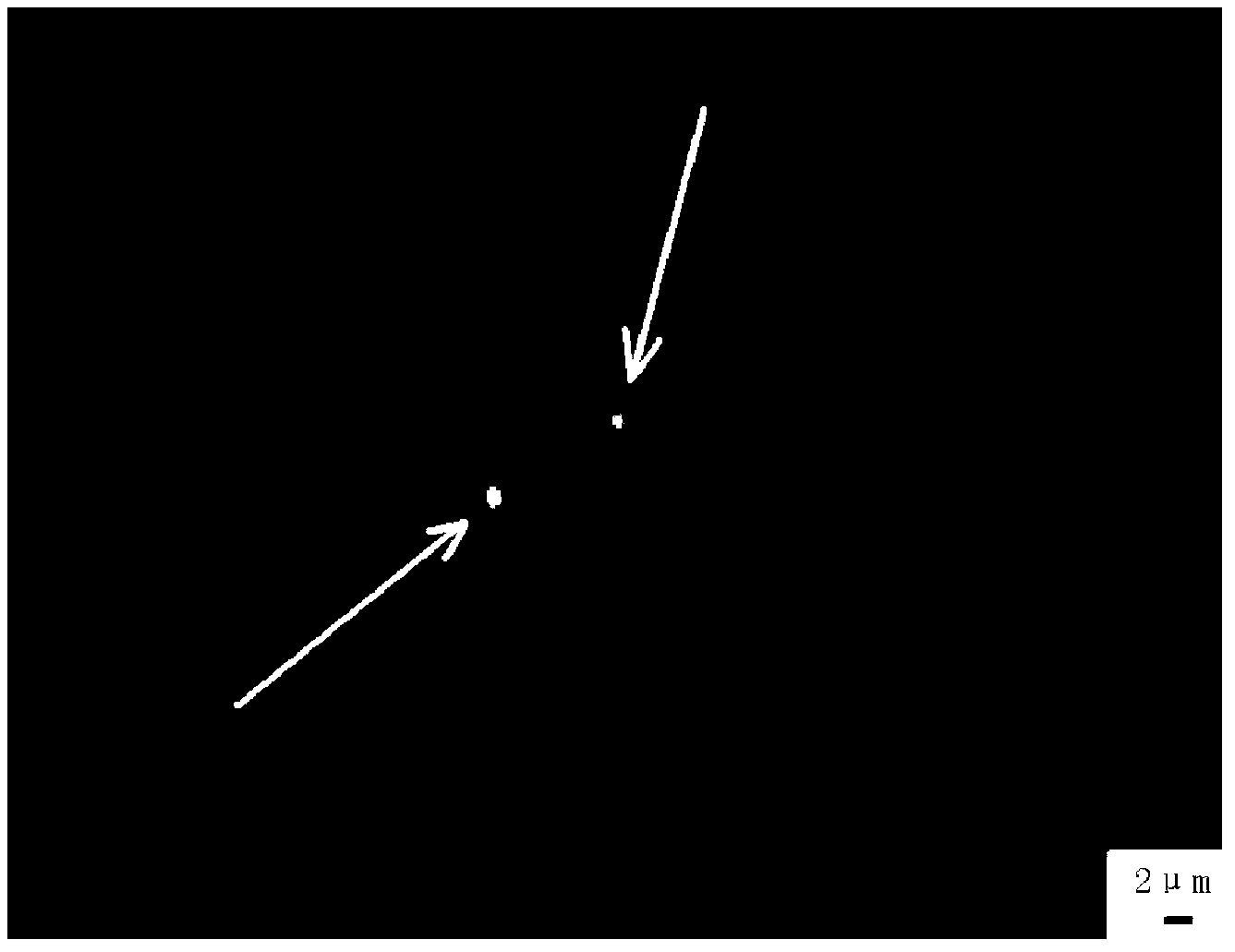 Lagerstroemia plant chromosomal in-situ hybridization method