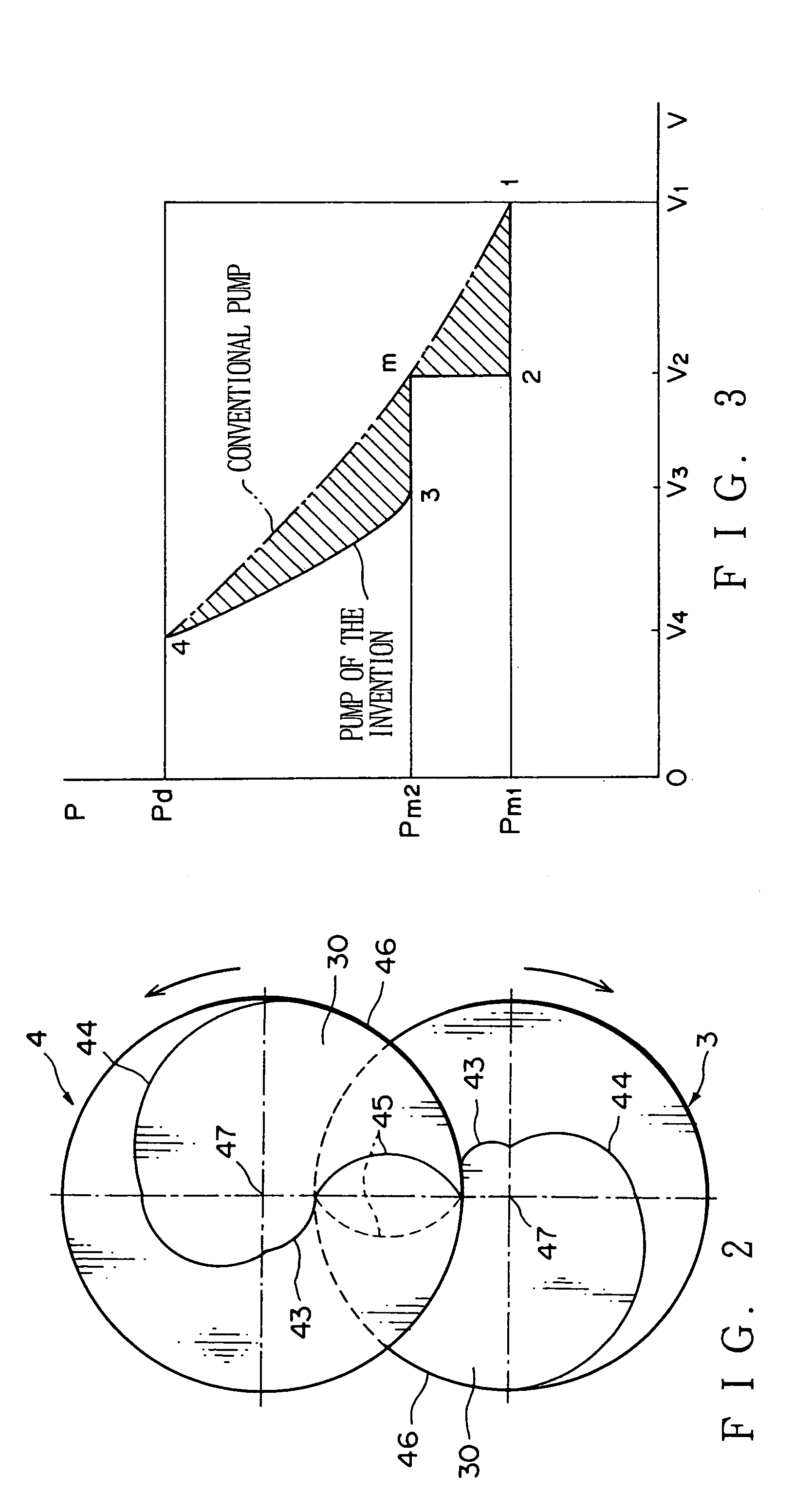 Screw type vacuum pump