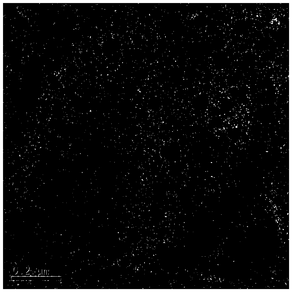 Novel lamellar molybdenum disulfide-based nano-immune adjuvant and its preparation method and application