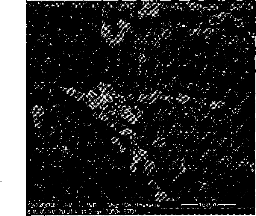 Method for fixing laminar adhesive protein on Ti-O film surface