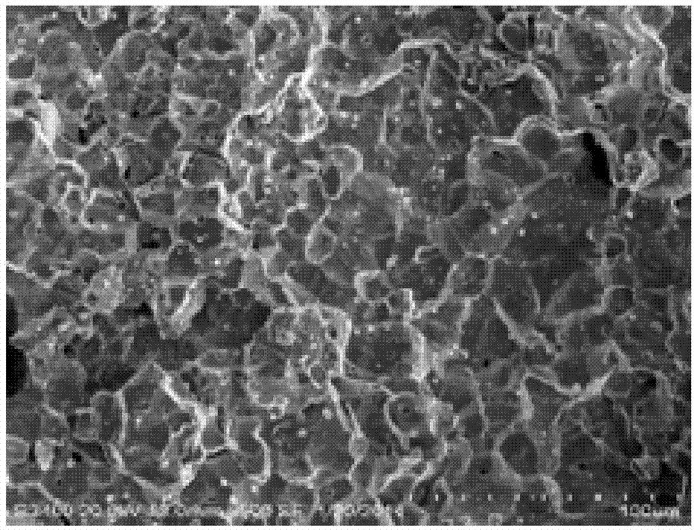 Preparation method of composite rare earth oxide reinforced molybdenum alloy piercing mandrel