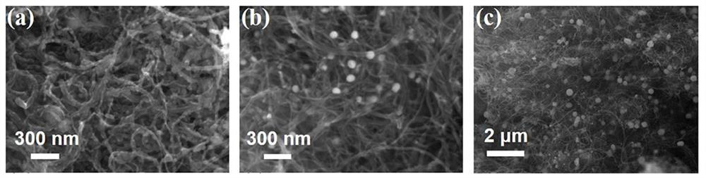 Flexible sodium ion capacitor electrode material