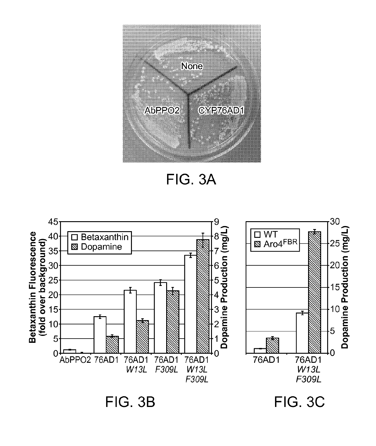 Tyrosine hydroxylase variants and methods of use thereof