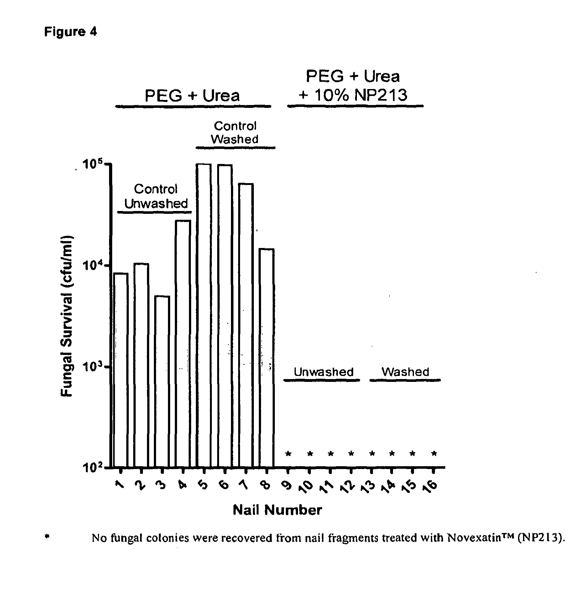 Method of Establishing a Fungal Nail Infection