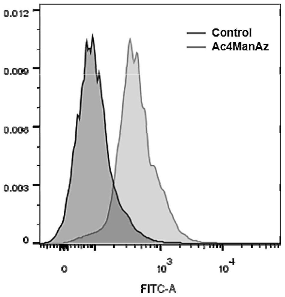 T cell and nanoparticle connection method based on click chemistry