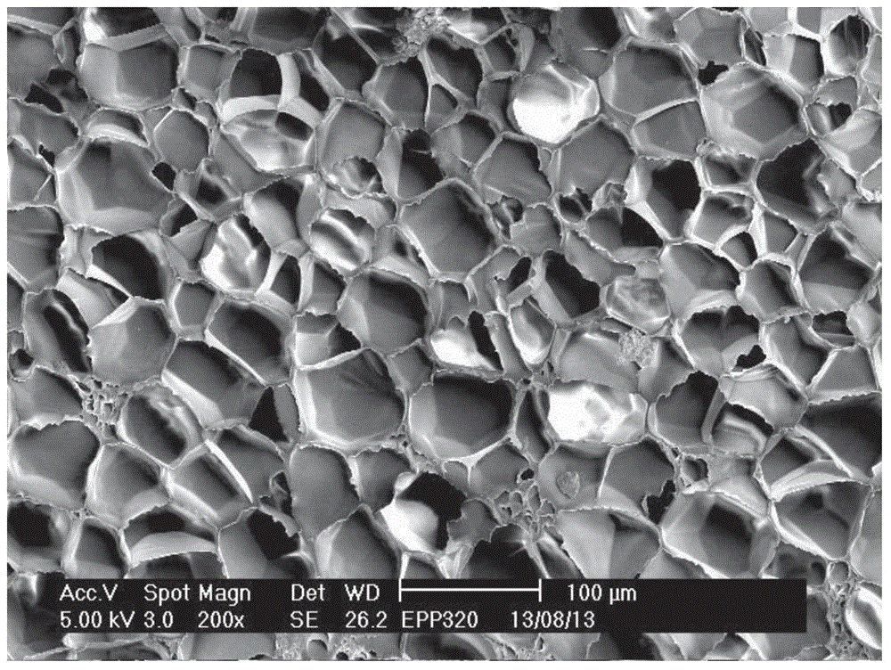 Impact-resistant polypropylene foaming material with high-melt strength and preparation method thereof