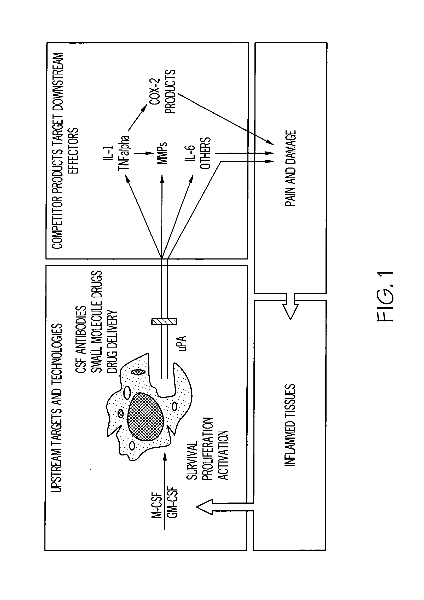 Method of treatment and agents useful for same