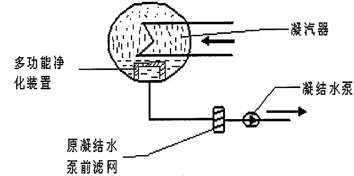 Multifunctional purification apparatus in condenser of power plant