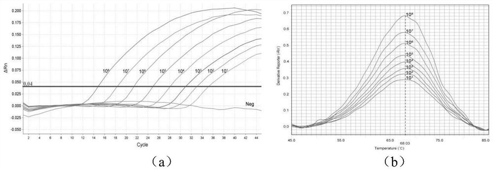 A common screening kit and detection method based on the animal -derived component of the melting curve technology