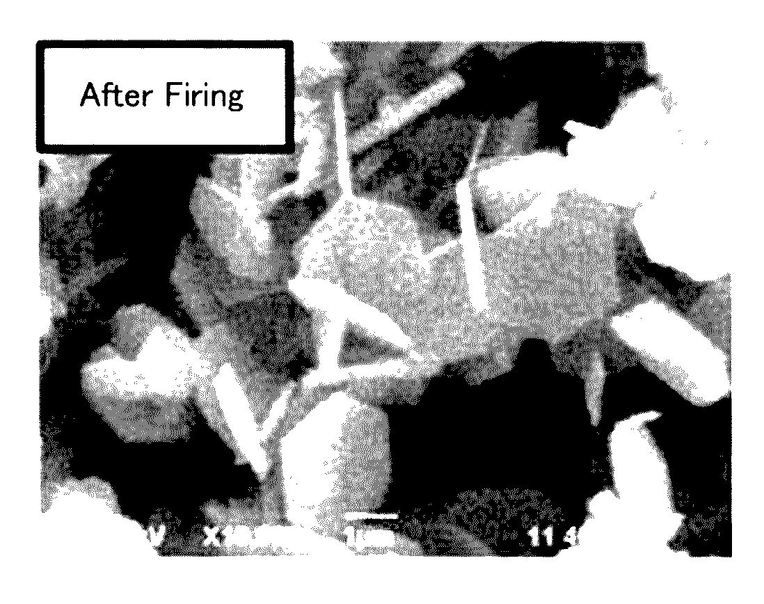 Method for manufacturing plate-like alumina powder and plate-like alumina powder