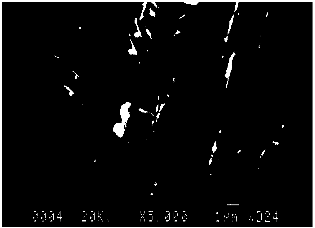 A kind of preparation method of block polymer-nanometer metal thin layer composite conductive material