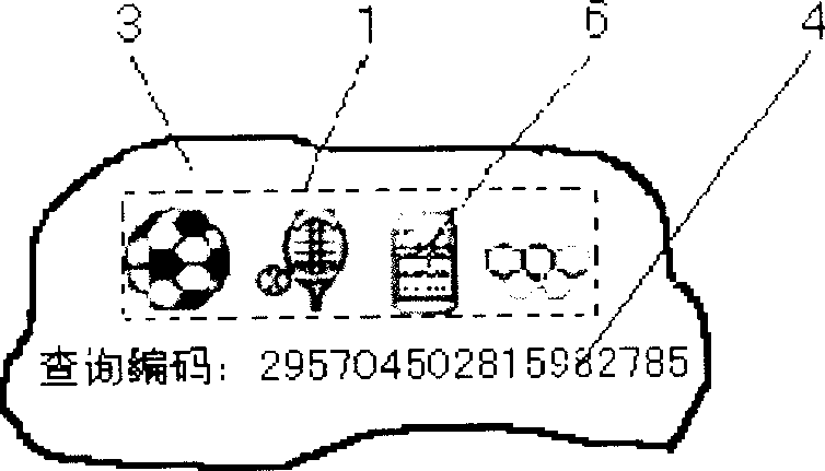 Anti-fake method using individual charactristics