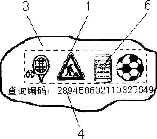 Anti-fake method using individual charactristics