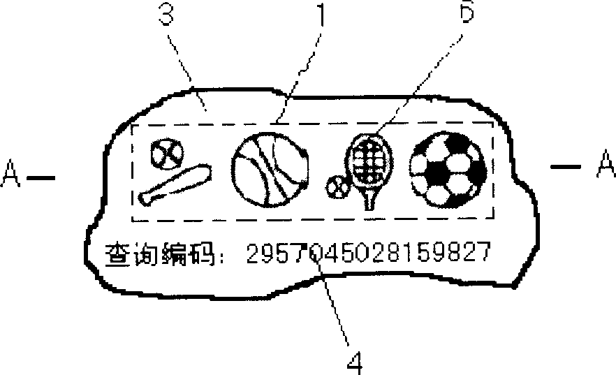 Anti-fake method using individual charactristics