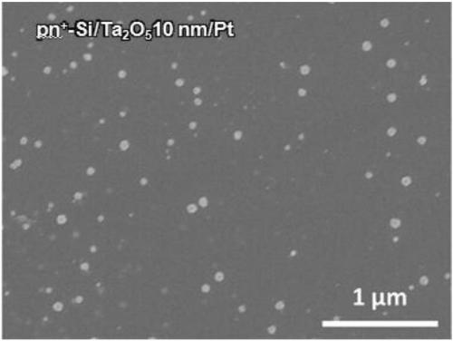 Tantalum oxide protected P-type silicon photocatalytic hydrogen evolution electrode and preparation method thereof