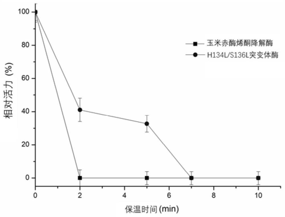 A kind of zearalenone degrading enzyme mutant with improved thermostability and application thereof