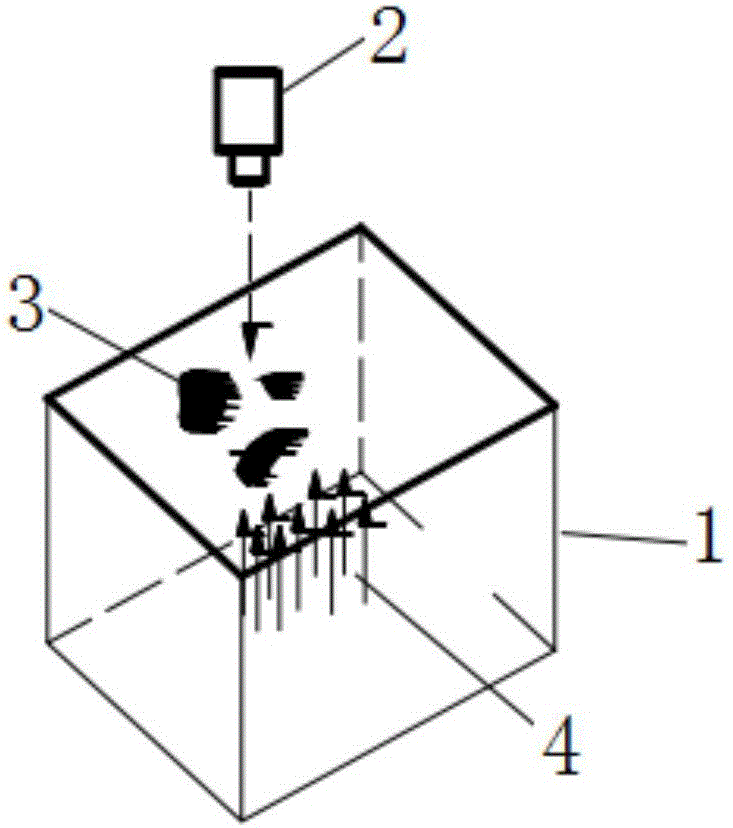 Coarse aggregate angularity evaluation method based on digital image analysis technology