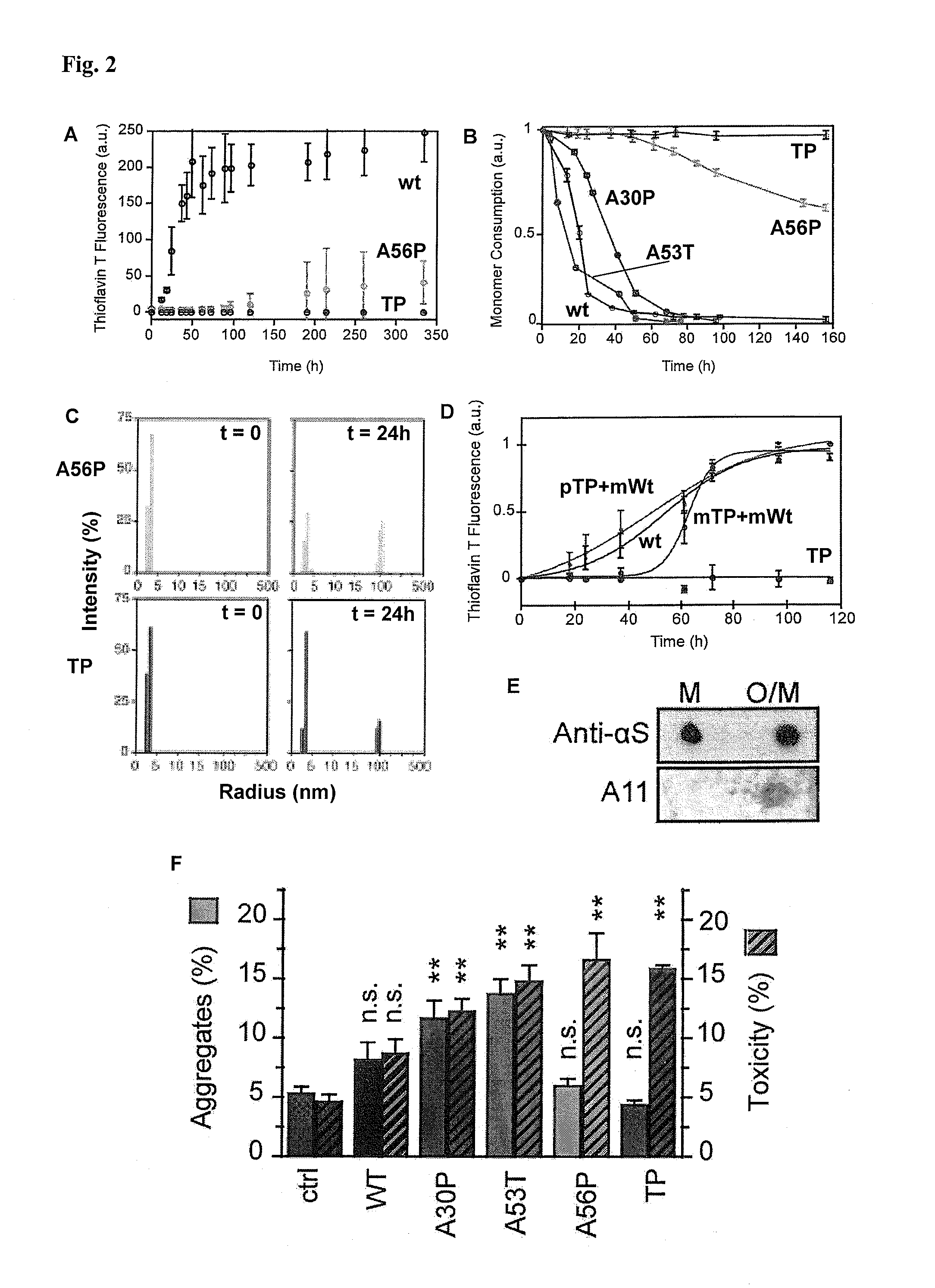 Mutant alpha-synuclein, and methods using same