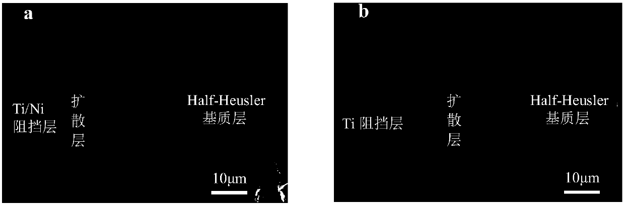 Thermoelectric device and electrode thereof, and method for preparing electrode