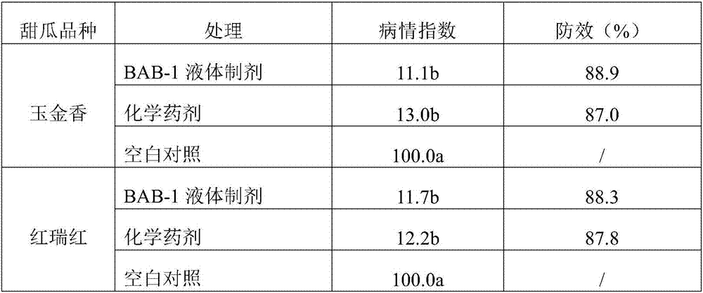 Applications of Bacillus subtilis BAB-1 in prevention and control of powdery mildew of melons