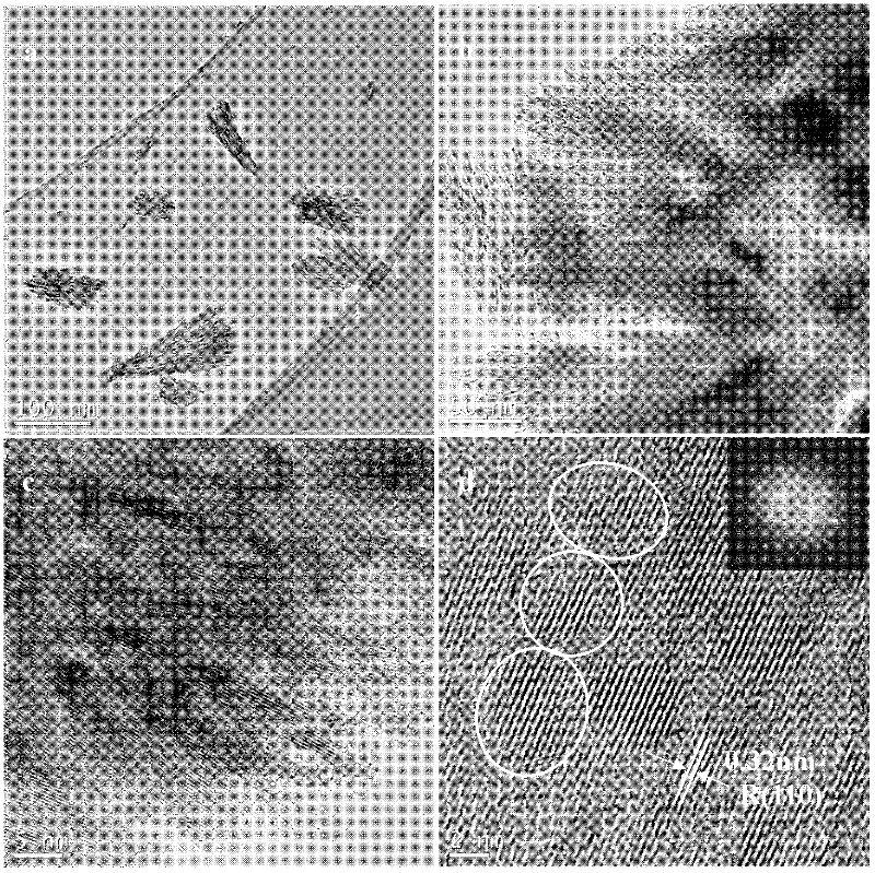 Sunlight-induced method for preparing fasciculate rutile titanium dioxide