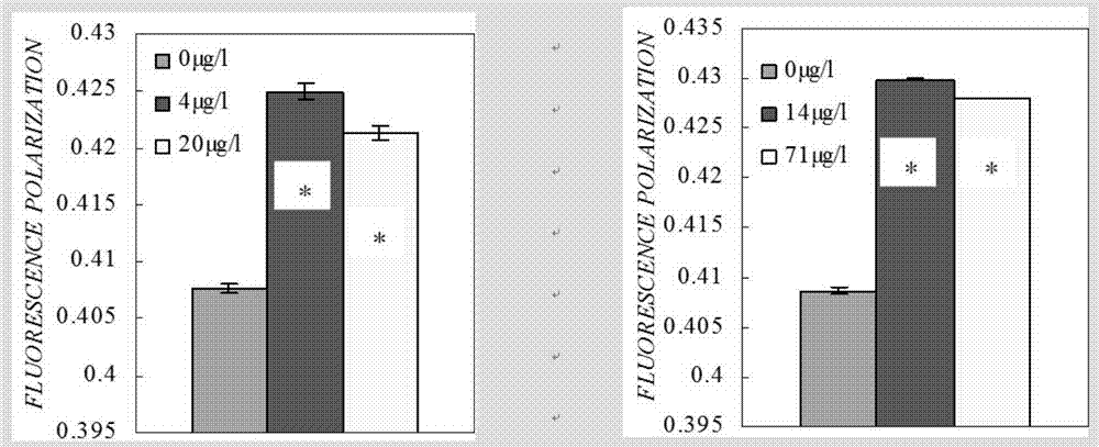 In-vivo test method for fluidity of mitochondrial membrane of liver of pseudorasbora parva