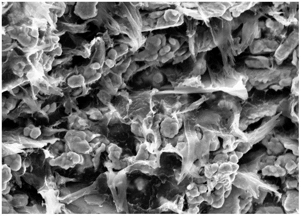 A kind of preparation method and application of highly conductive flake silver powder