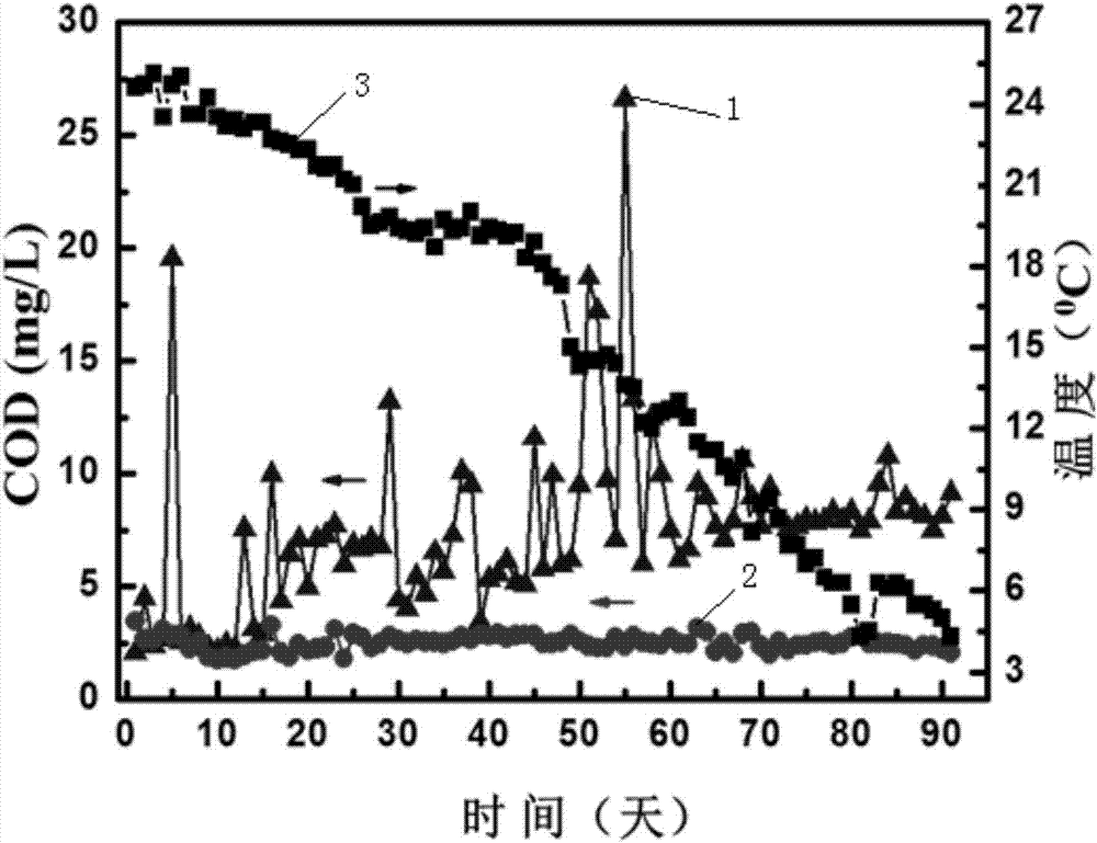 Gravity driven ultrafiltration biomembrane reactor device and method for treating low-temperature low ammonia nitrogen waste water