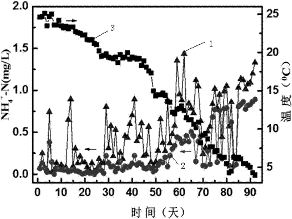 Gravity driven ultrafiltration biomembrane reactor device and method for treating low-temperature low ammonia nitrogen waste water