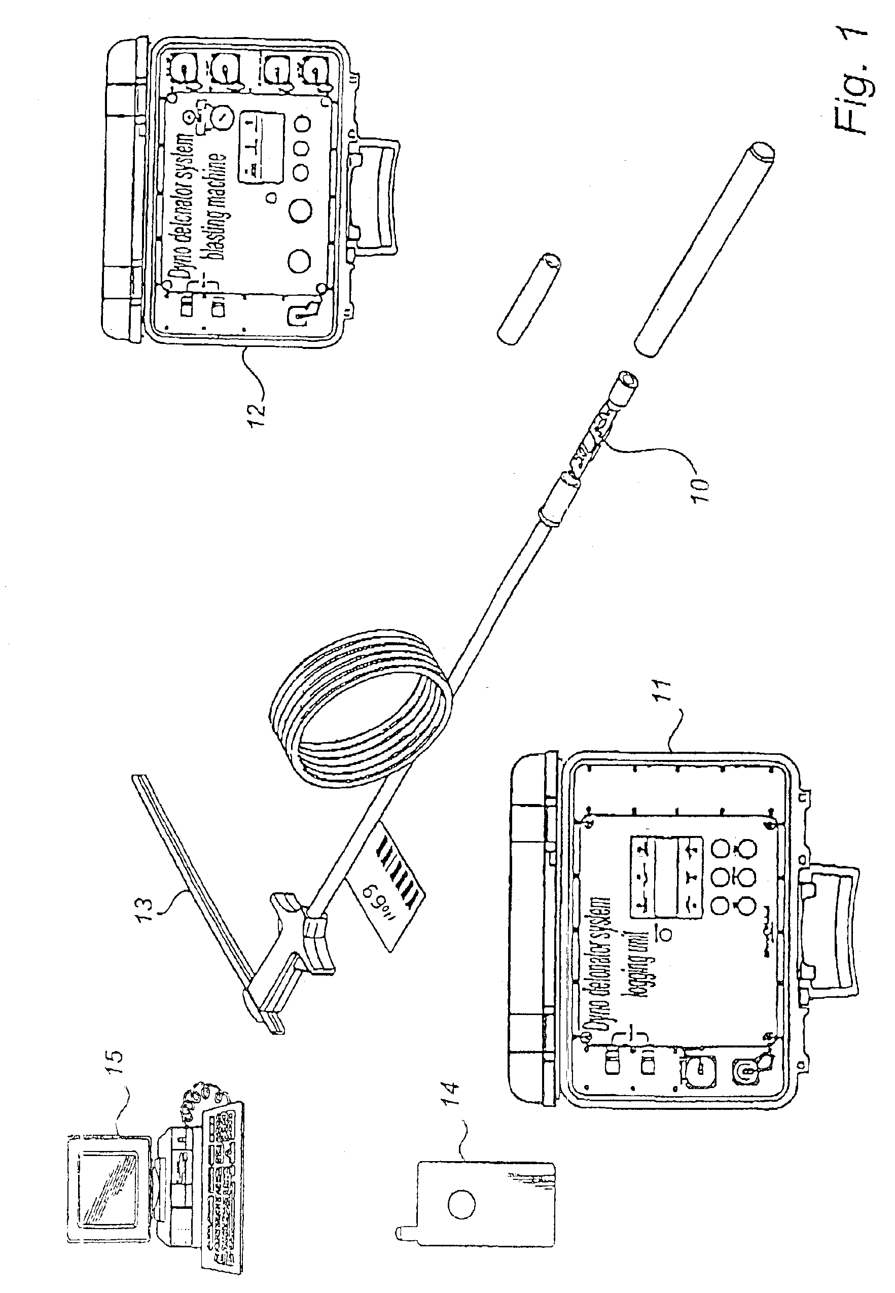 Flexible detonator system