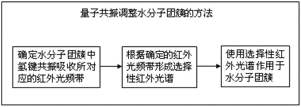 Method for adjusting water molecule cluster through quantum resonance