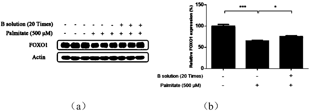 Drug for improving function of aortic endothelial cells and application thereof