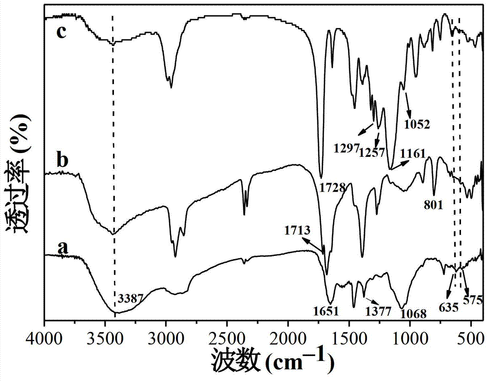 Magnetic microzyme surface imprinted adsorbent for selectively separating cefalexin as well as preparation method and application thereof