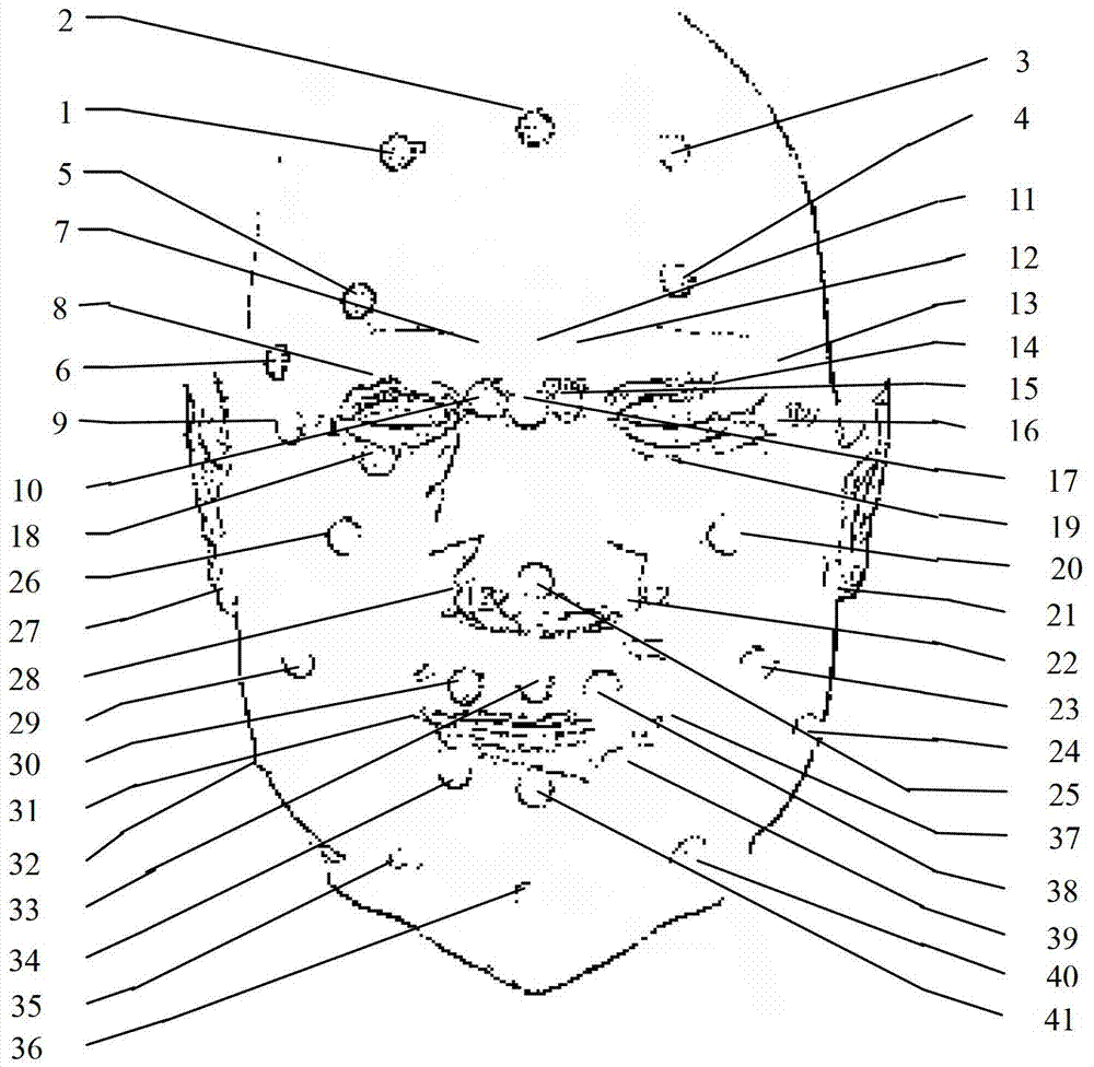 Human face expression animation generation method