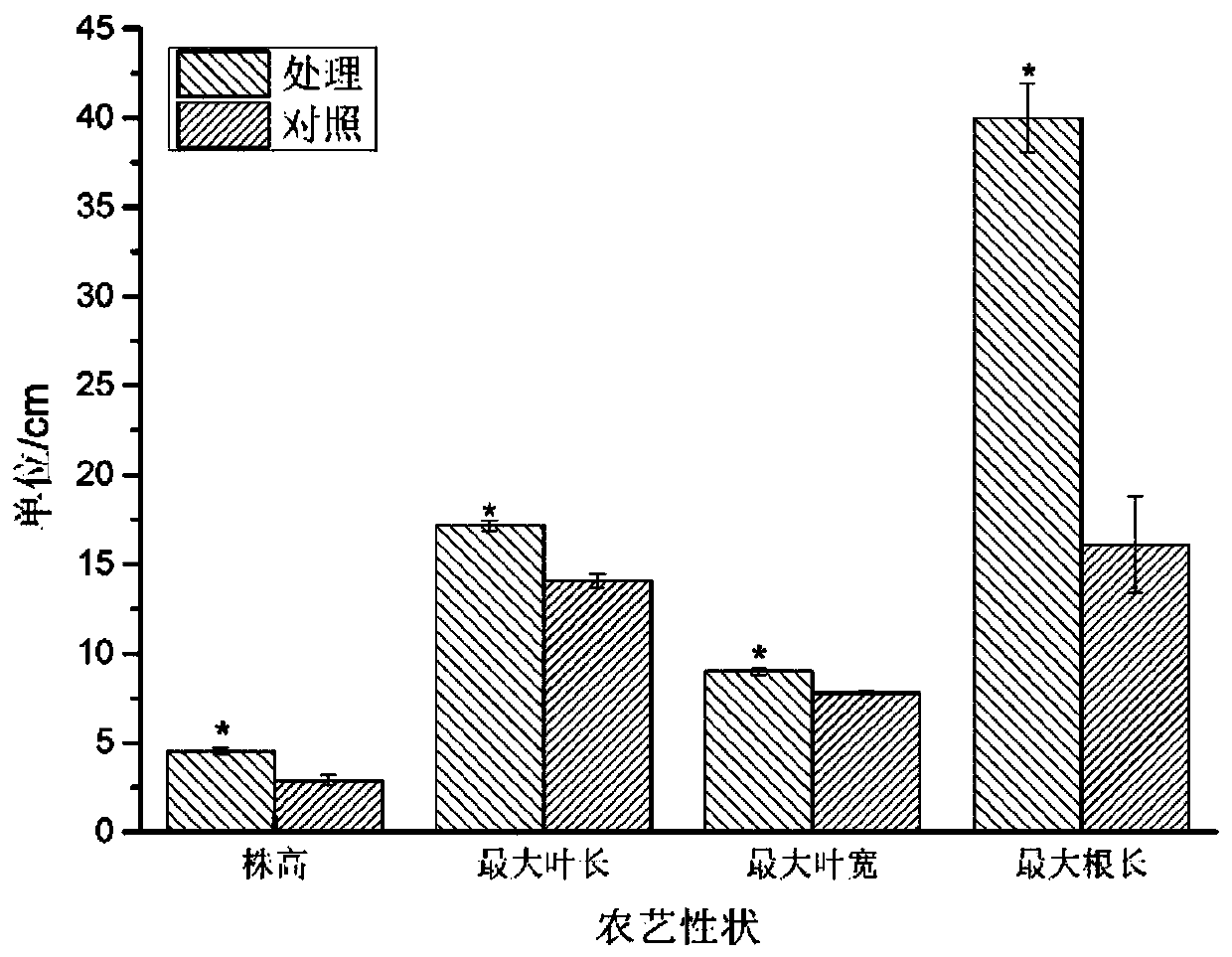 Biocontrol strain TMN-1, and preparation method and application of biocontrol microbial inoculum