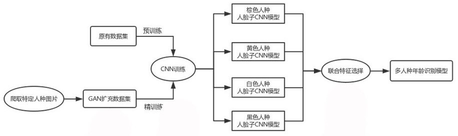 Face age estimation method based on gan extended multi-ethnic feature collaborative selection