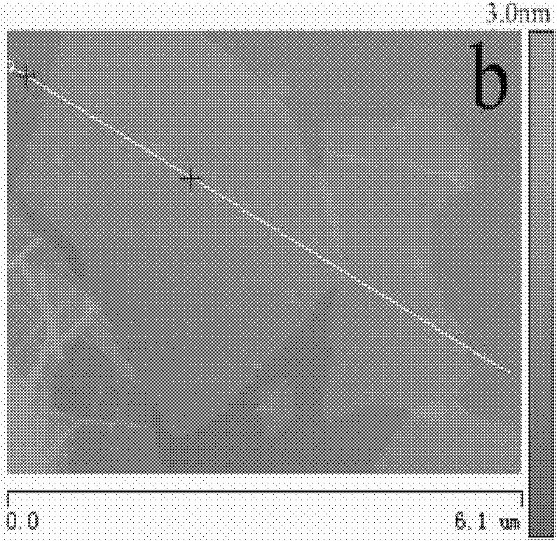 Method for preparing polyethylene/graphene conductive composite material