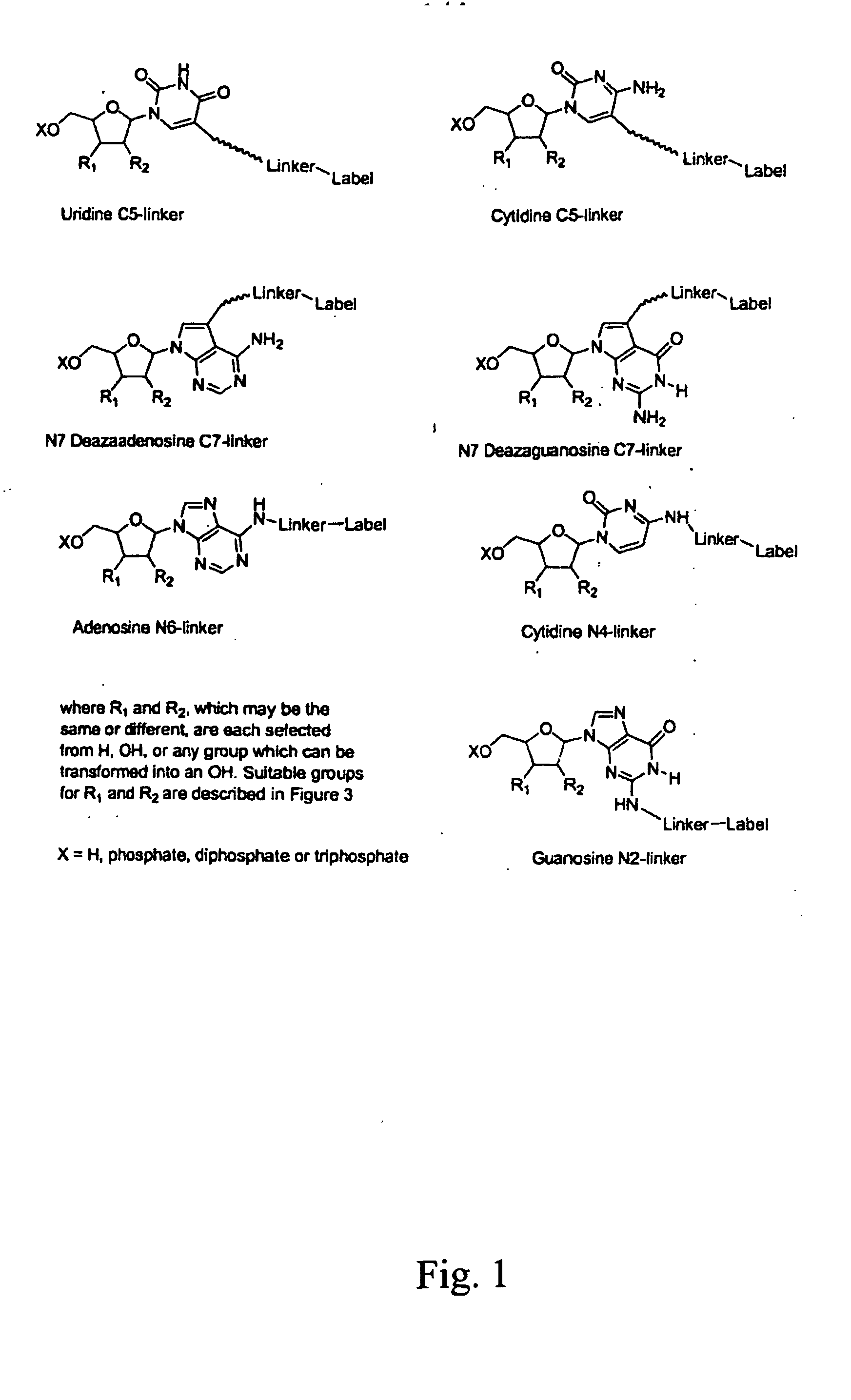 Labelled nucleotides