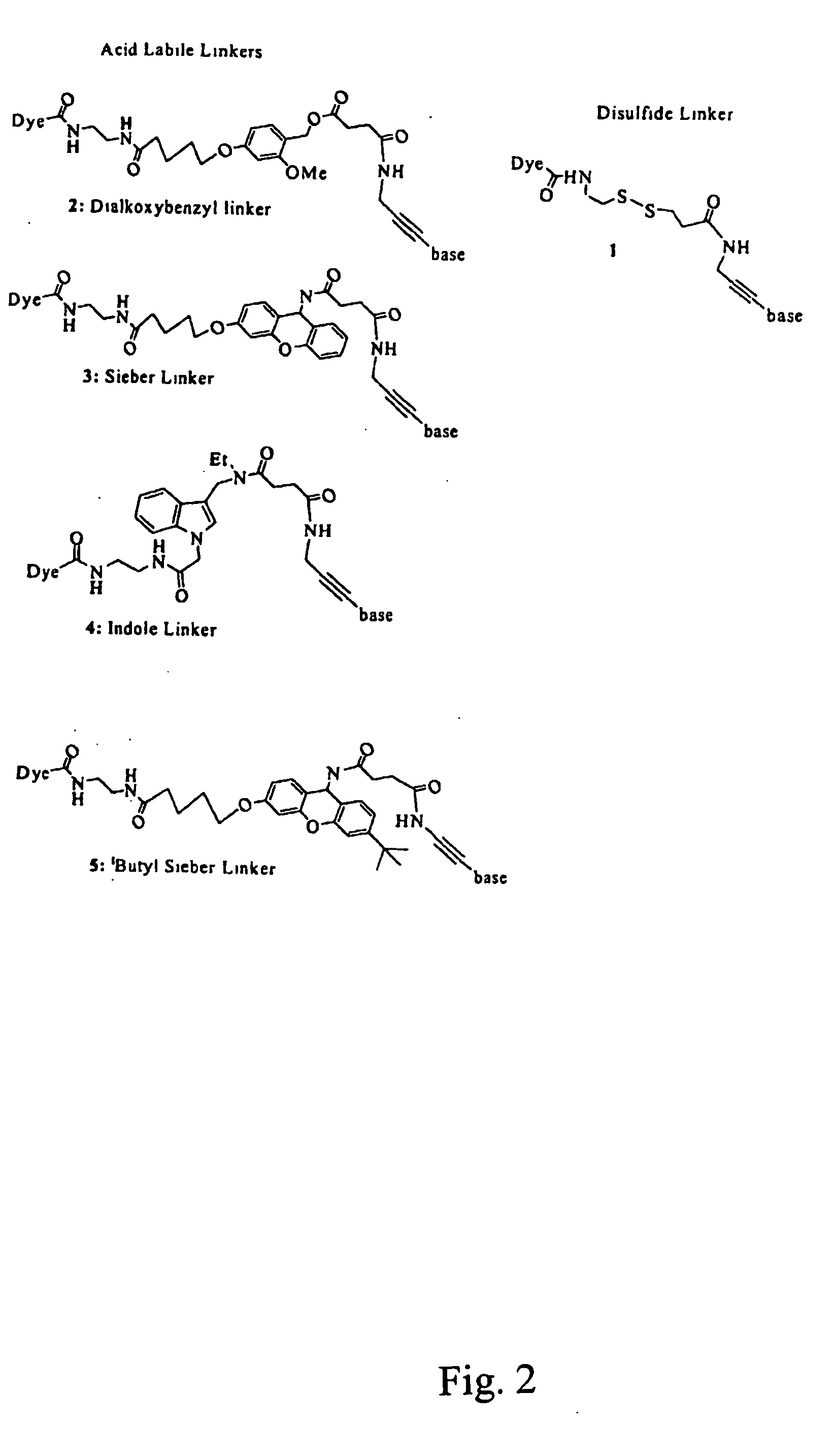 Labelled nucleotides